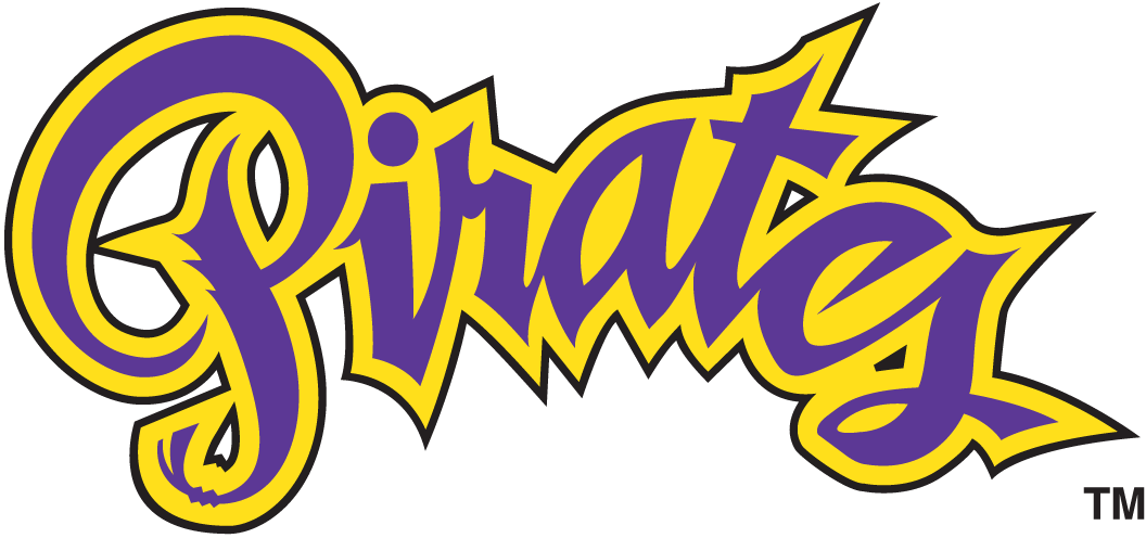 East Carolina Pirates 1999-2013 Wordmark Logo v4 diy DTF decal sticker